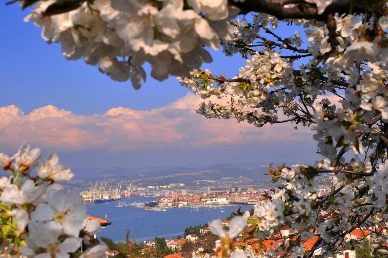 Appartamento Razgled/The View Capodistria Esterno foto